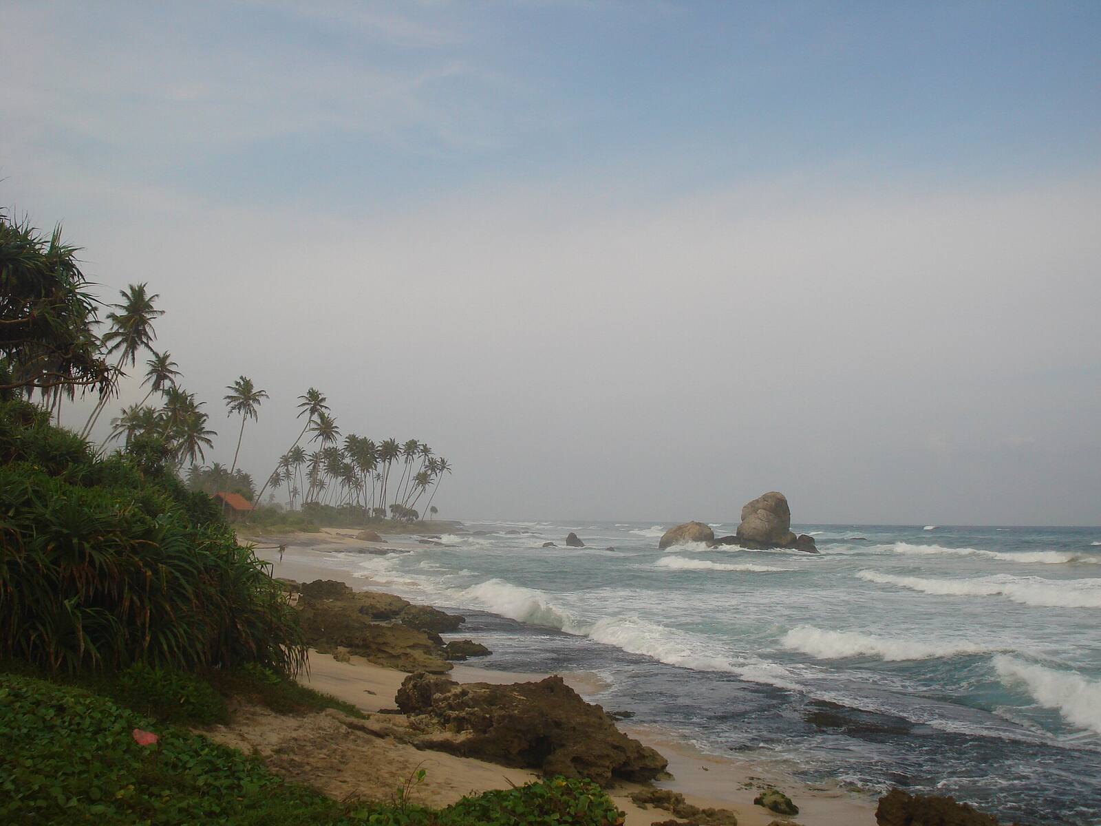 Palms, rocks and surf along the coast at Koggala, next to Ahangama