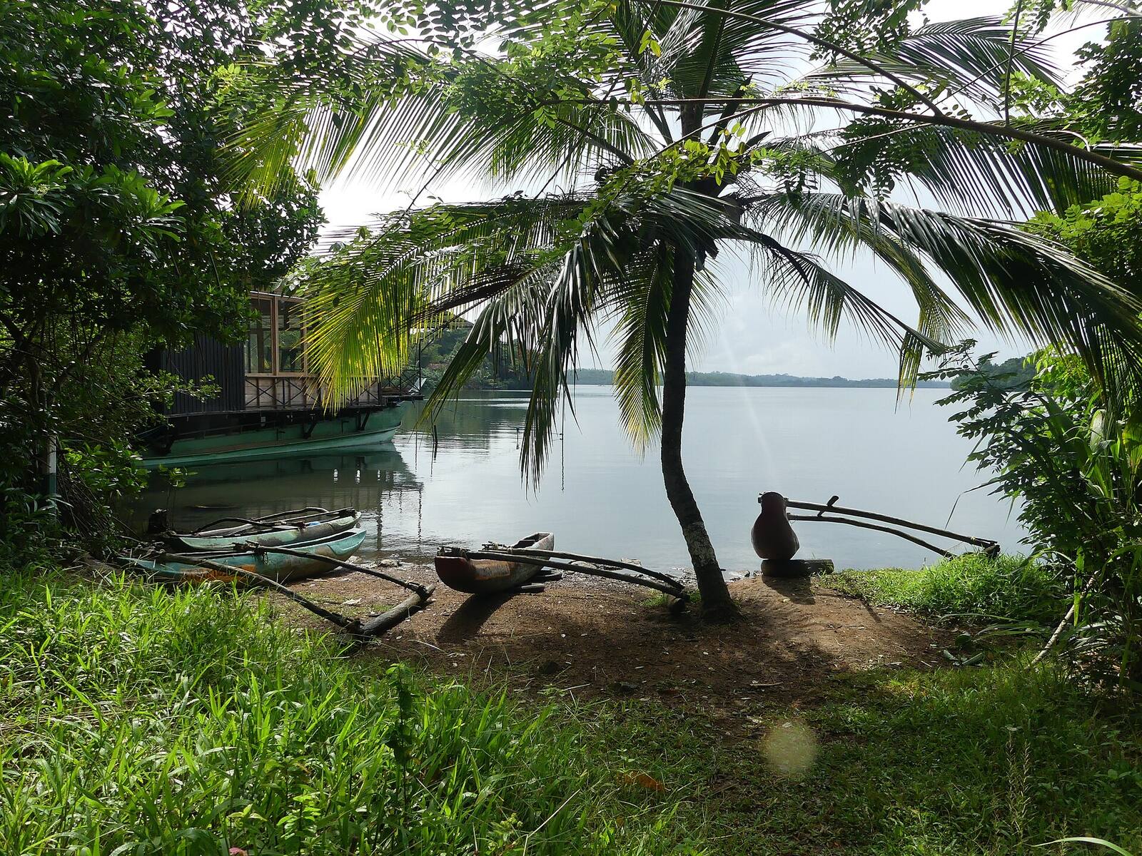 An outrigger canoe pulled up under palms on the shore of Koggala Lake