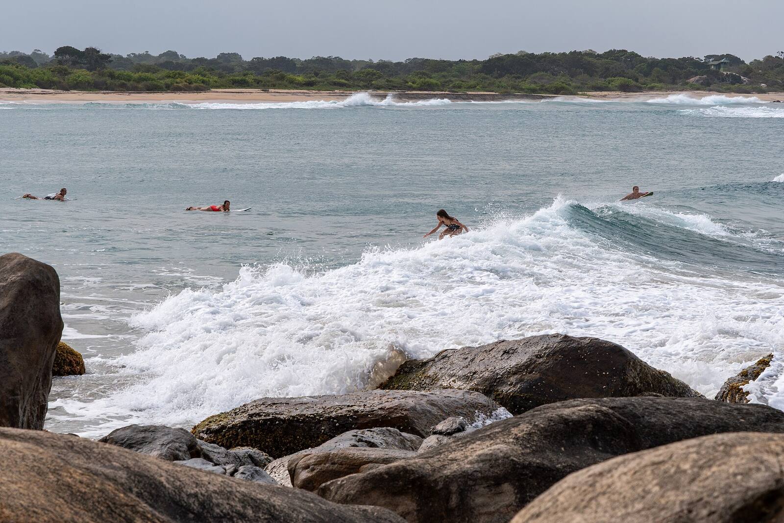 Surfers paddling into a breaking wave off a Sri Lankan beach