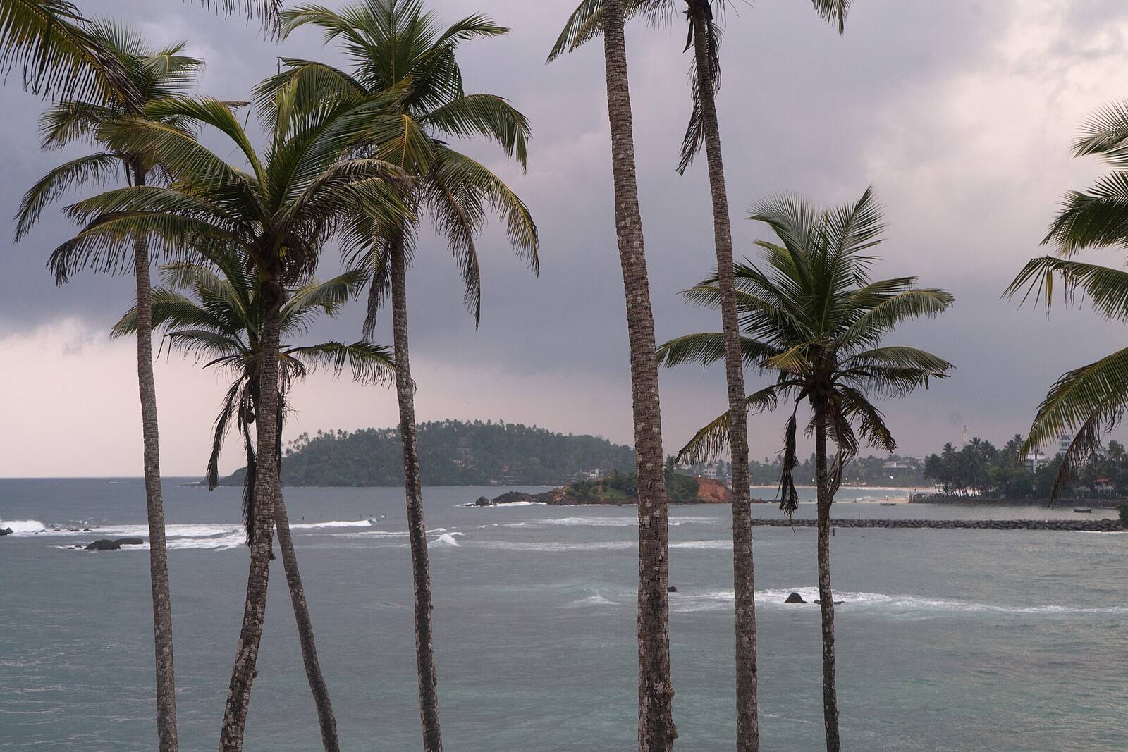 Palm trees on Coconut Tree Hill above the sea at Mirissa