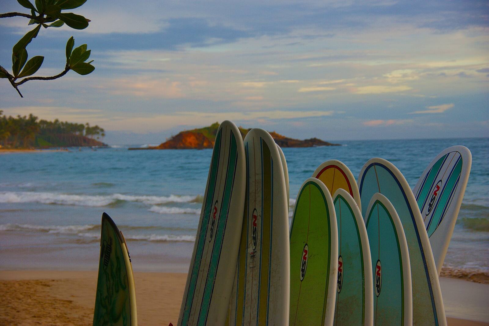 Rental surfboards lined up on the beach at Mirissa at sunset